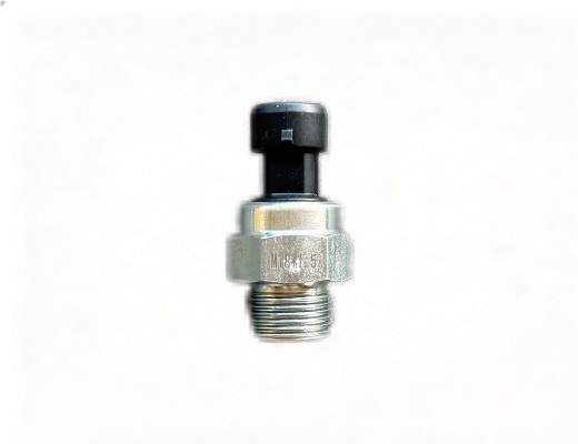 SINOTRUK Oil Pressure Sensor VG1092090311 Truck Parts for Sale