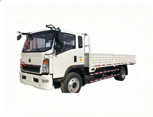 HOWO Cargo Truck 5Ton 4x2 100HP SINOTRUK Mini Truck for Sale