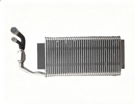 SHACMAN Air Conditioner Evaporator DZ13241821114 Truck Parts for Sale