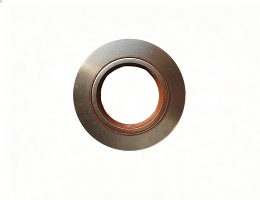 SINOTRUK Differential Input Oil Seal WG7117329001-1 Truck Parts for Sale