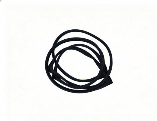 FAW Front Windshield Seal Strip Assy 5206015A17 Spare Parts for Sale