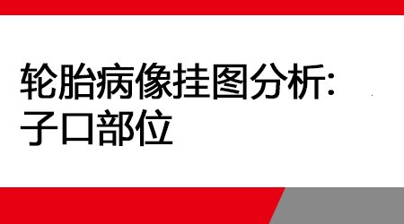 轮胎病像挂图分析-子口部位