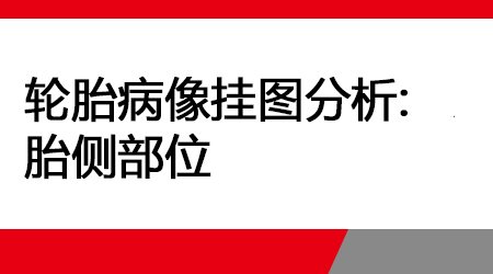轮胎病像挂图分析-胎侧部位