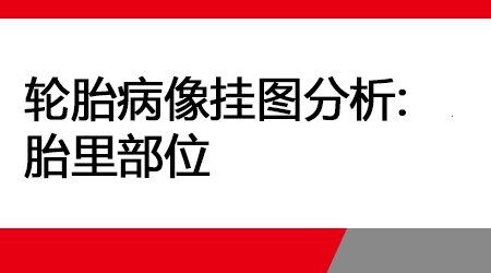 轮胎病像挂图分析-胎里部位