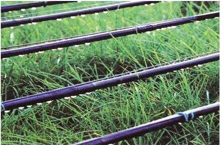 与传统的灌溉方式相比，滴灌到底有哪些优势？