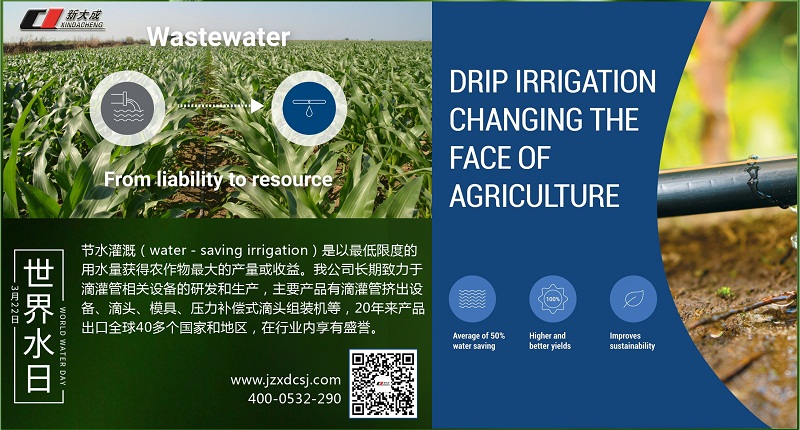 【世界水日】以“水”为媒，与春相约