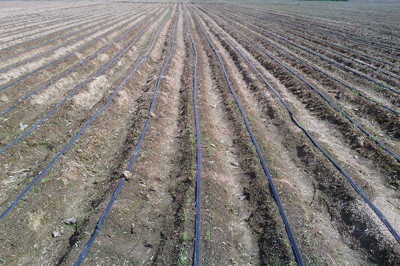 滴灌带生产线有哪几种过滤方式？