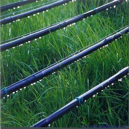 滴灌带成农田灌溉主流，背后的高效生产设备你选对了吗？