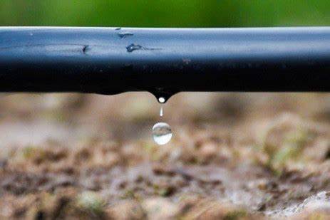 滴灌带生产设备适配作物有哪些？