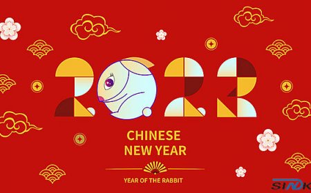 Spring Festival holiday notice