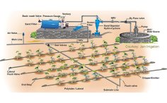 Drip irrigation system & project