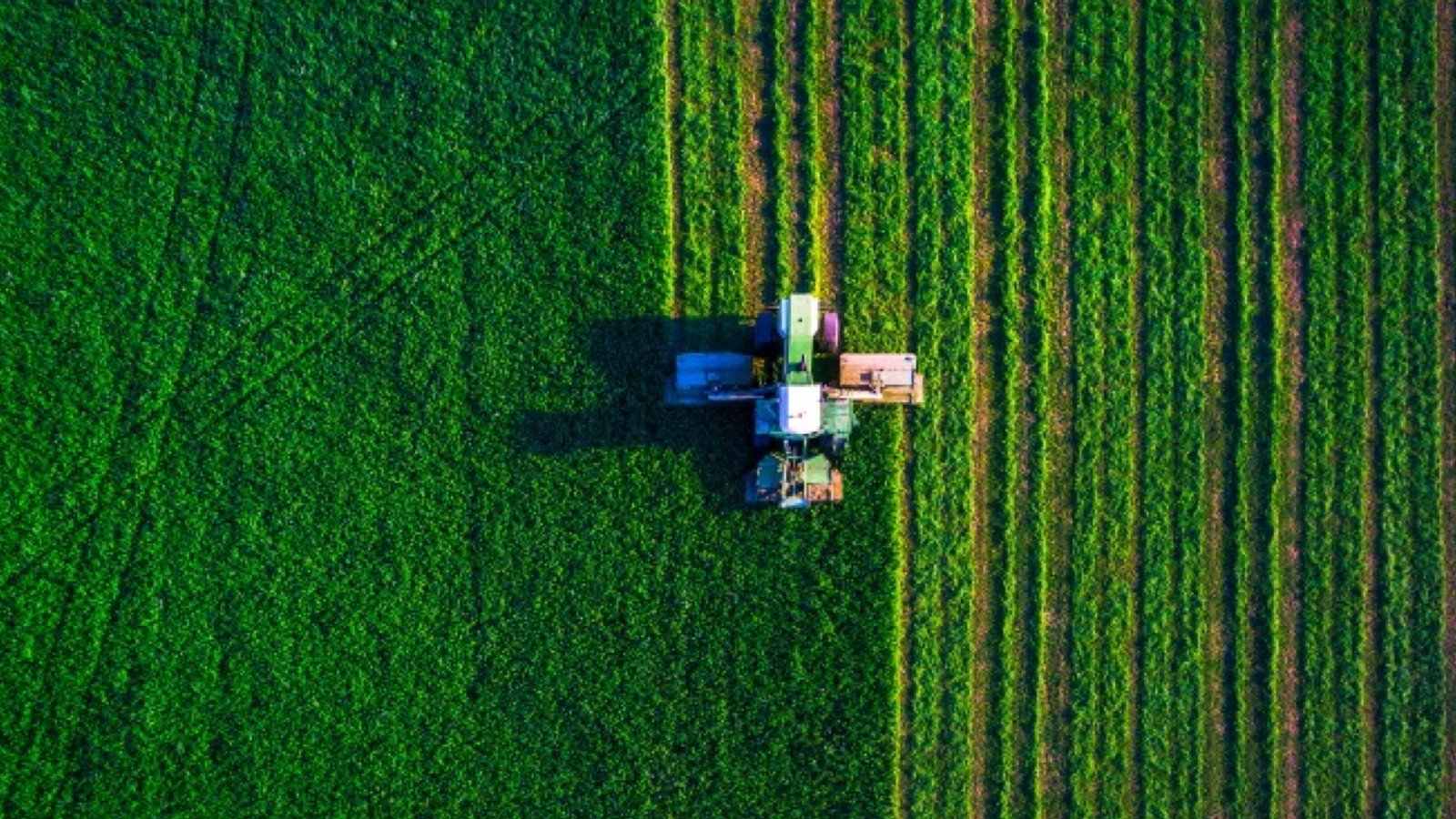 How Pressure Compensated Drip Irrigation Tape Improves Water Efficiency in Farming