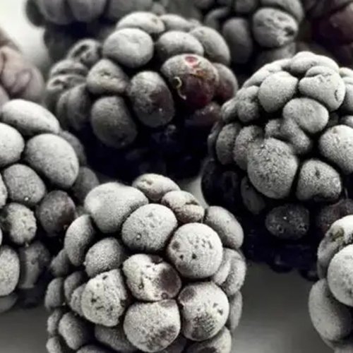 Frozen Blackberry