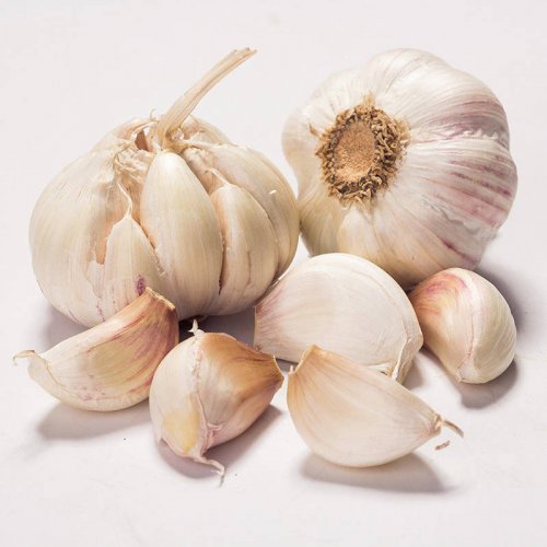 Fresh Garlic