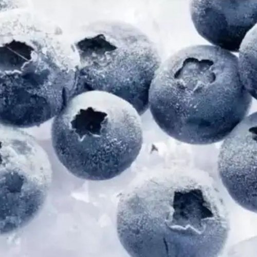 Frozen Blueberry