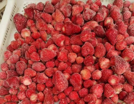 Fresh Strawberries Are Ready for Harvest and Now Available!